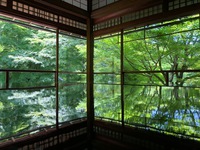 kyoto (24).jpg